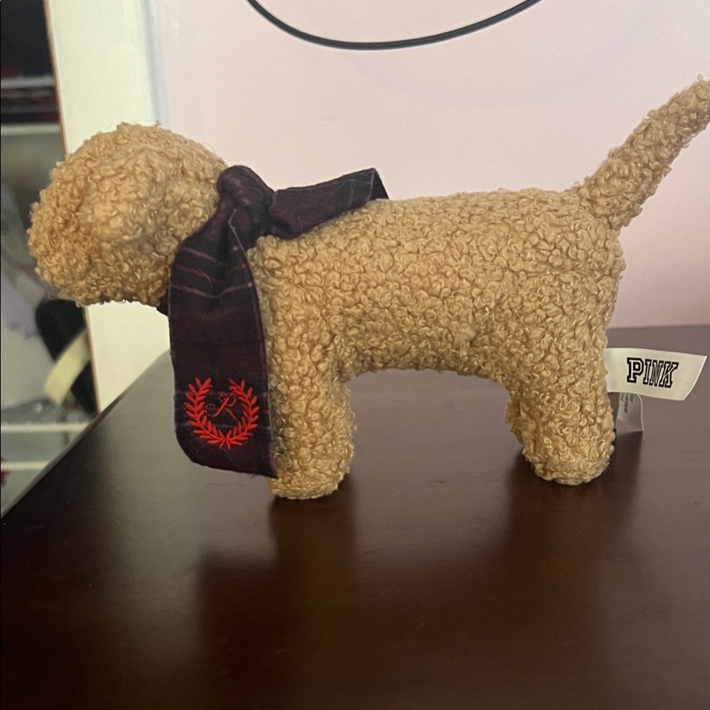 PINK dog with scarf